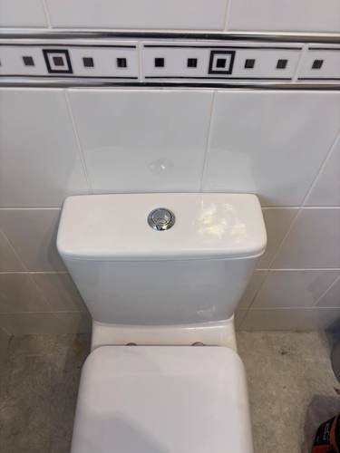 Toilet installation with dual-flush cistern