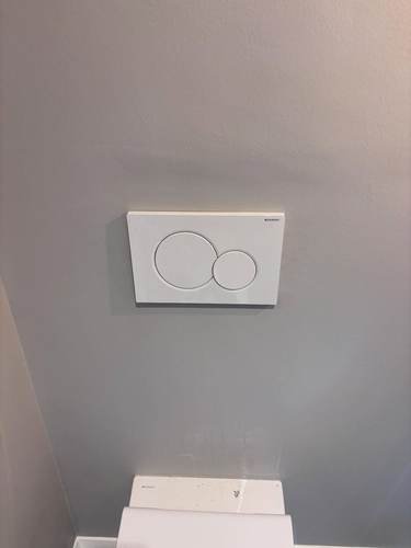 Toilet installation with dual-flush plate
