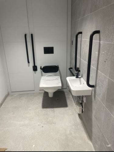 Commercial washroom with accessible sinks and grab rails