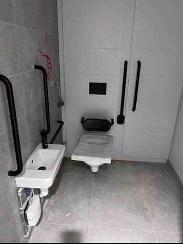 Commercial accessible toilet with grab rails